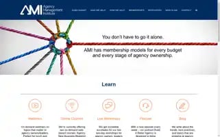 Agencymanagementinstitute.com Screenshot 2024-07-05 17:11:55