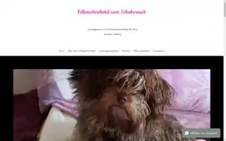 Fellnaeschenhotelzumschabernack.com Screenshot 2024-04-15 23:14:56