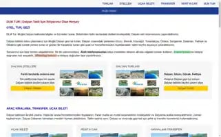 Dlmtour.com Screenshot 2024-04-16 21:20:54