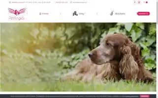 Petangels.pl Screenshot 2024-05-18 18:15:29