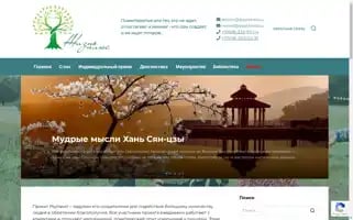 Psytravel.su Screenshot 2024-04-25 22:45:37