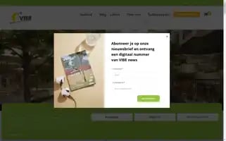 Vibe.be Screenshot 2024-06-12 05:18:21