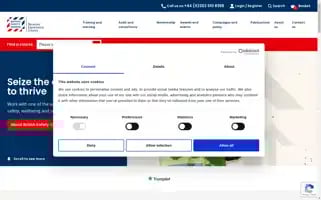 Britsafe.org Screenshot 2024-06-30 07:47:17