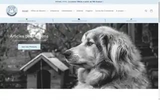 Toutouwizoo.com Screenshot 2024-04-27 07:30:07