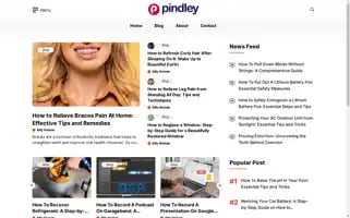 Pindley.com Screenshot 2024-05-19 05:38:23
