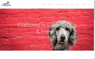 Clooneydog.com Screenshot 2024-07-02 00:57:37