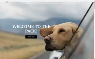 Therawdogfoodco.nz Screenshot 2024-05-14 10:36:47