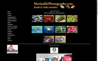 Marinelifephotography.com Screenshot 2024-05-16 06:52:13