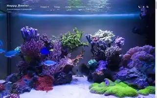 Happyreefer.in.ua Screenshot 2024-05-21 21:59:39