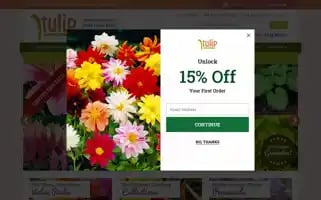 Tulipworld.com Screenshot 2024-05-14 16:36:54