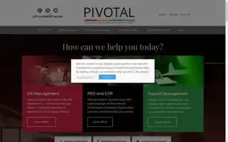 Pivotalsolutions.com Screenshot 2024-06-11 22:11:20