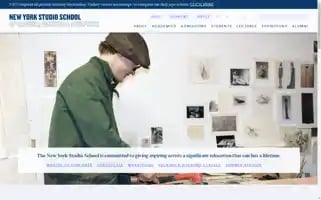 Nyss.org Screenshot 2024-06-17 04:48:11