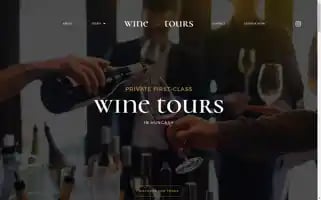 Wine-tours.hu Screenshot 2024-04-18 13:26:02