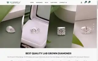 Skyexportsllp.com Screenshot 2024-05-28 00:52:55