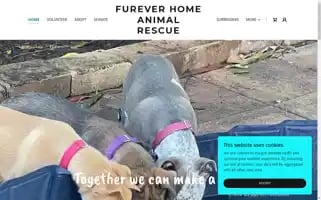 Furever-home-animal-rescue.com Screenshot 2024-07-04 01:56:06