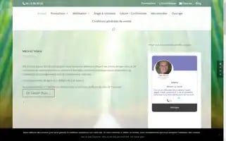 Marie-voyance-reiki.com Screenshot 2024-06-11 07:17:39