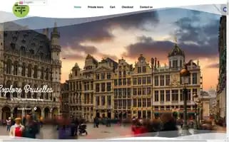 Brusselsfreetourbyrichi.com Screenshot 2024-04-15 23:48:16