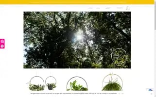 Happycircle.nl Screenshot 2024-07-05 12:49:19