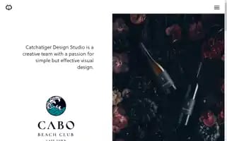 Catchatigerdesign.com Screenshot 2024-06-16 10:39:08