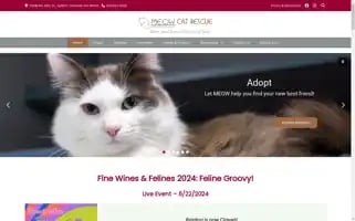Meowcatrescue.org Screenshot 2024-07-06 11:53:18