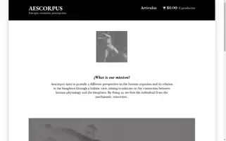 Aescorpus.com Screenshot 2024-05-20 06:44:58