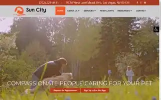 Suncityvet.com Screenshot 2024-05-14 03:13:43