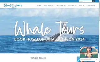 Whale-tours.com Screenshot 2024-04-15 23:56:15