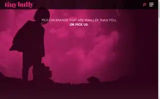 Tinybullyagency.com Screenshot 2024-05-14 12:46:53