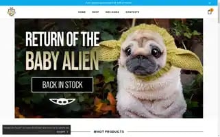 Zoosnoods.com Screenshot 2024-05-05 02:53:24