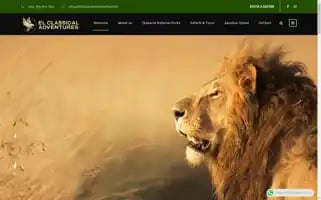Elclassicaladventures.com Screenshot 2024-07-03 05:20:01