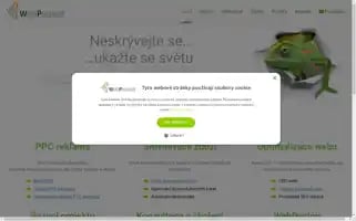 Webprezent.cz Screenshot 2024-06-16 10:49:58