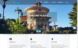 Pipeflytours.com Screenshot 2024-04-26 05:17:03