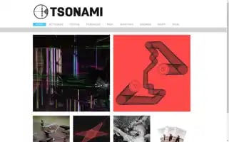 Tsonami.cl Screenshot 2024-06-12 19:30:25