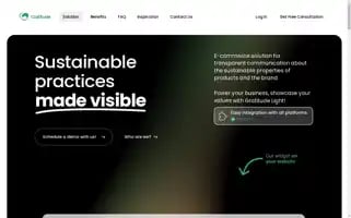 More-gratitude.com Screenshot 2024-06-15 21:46:02