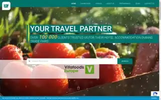 Travel2fair.com Screenshot 2024-07-01 10:12:35