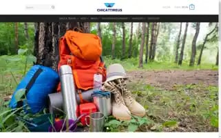 Chicattireus.com Screenshot 2024-05-26 20:08:02