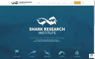 Sharks.org Screenshot 2024-07-04 16:03:48