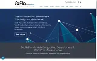 Soflaweb.com Screenshot 2024-06-29 05:32:52