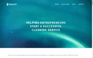 Online-cleaning-coach.com Screenshot 2024-05-13 06:13:00