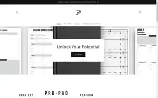 Pro-pad.store Screenshot 2024-05-03 21:28:52