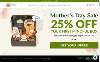 Mindfulsouls.com Screenshot 2024-05-05 08:26:04