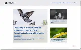 Wildexplained.com Screenshot 2024-06-15 12:57:04