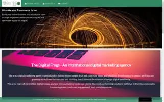 Thedigitalfrogs.com Screenshot 2024-07-10 01:22:45