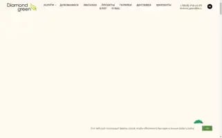 Ecodiamond.ru Screenshot 2024-06-11 22:31:00