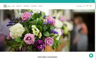 Silkplantsdirect.com Screenshot 2024-05-04 22:58:52