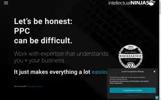 Intellectualninjas.com Screenshot 2024-06-13 06:33:16