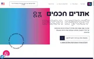 Web-vibe.co.il Screenshot 2024-06-15 18:19:27