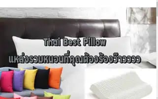 Thaibestpillow.com Screenshot 2024-05-19 23:49:28