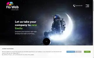 Flowebdesign.ie Screenshot 2024-06-30 17:17:59