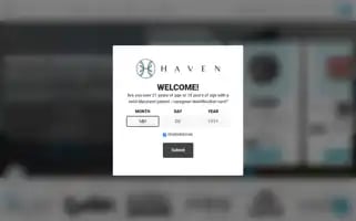 Findinghaven.com Screenshot 2024-05-09 17:14:59